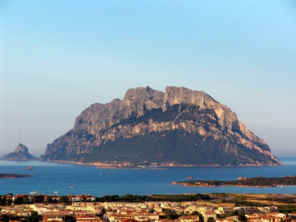 Residence L'Ea Di Lavru - Appartamenti Mono-Bilo-Trilocali Порто-Сан-Паоло Экстерьер фото